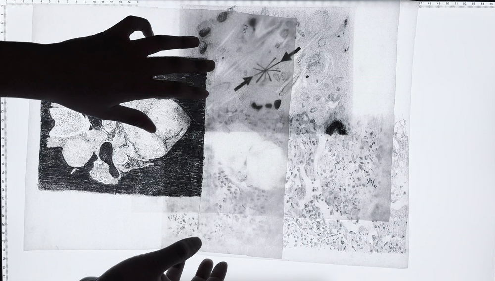 A film still from a video showing black-and-white drawings on transparent film displayed on a lightbox. Two black silhouettes of two hands appear over the drawings.