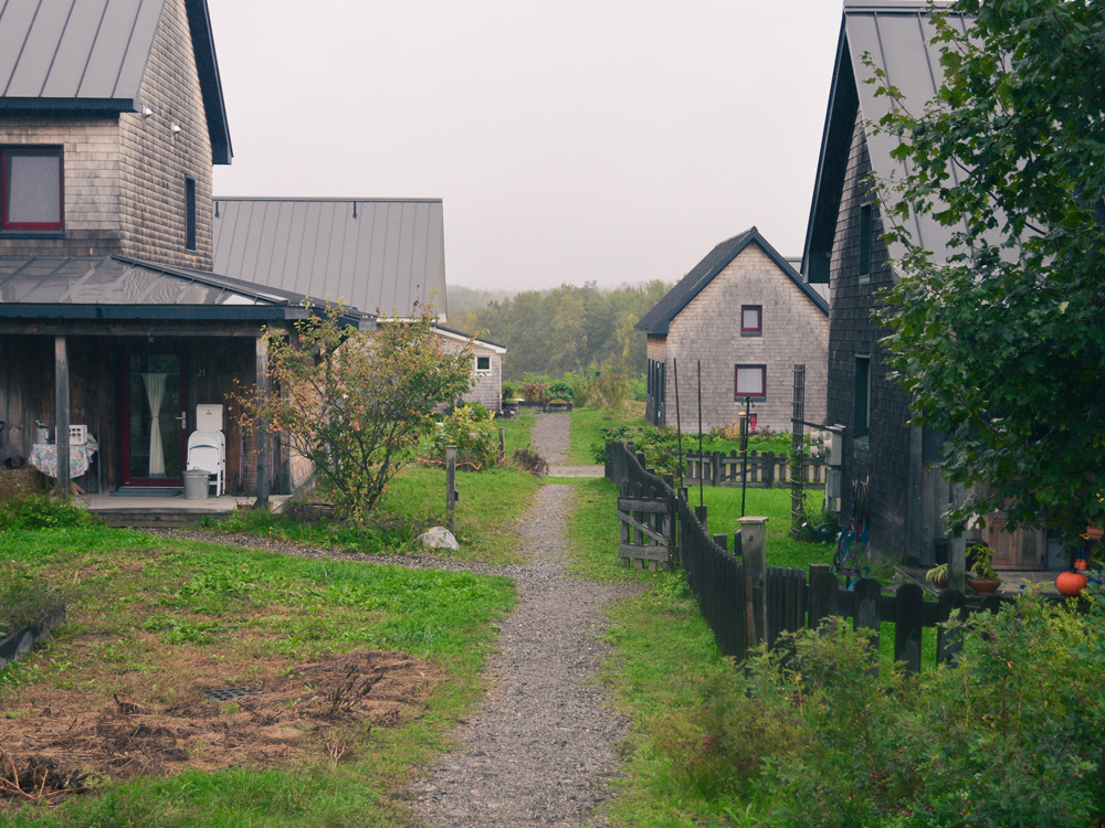 Houses in landscape