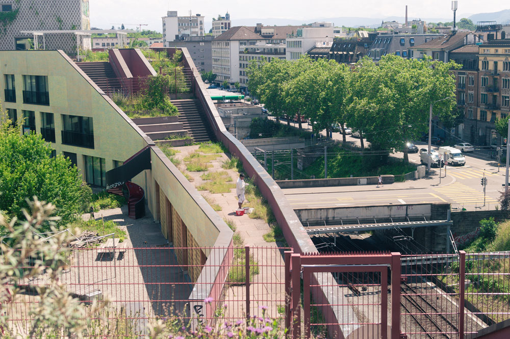 collective housing project