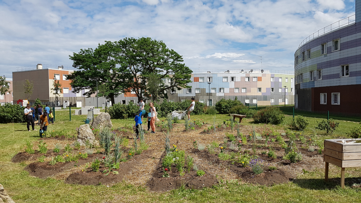 an outdoor park surrounded by buildings, with a group of people working on a landscaped area of plants and pathways.