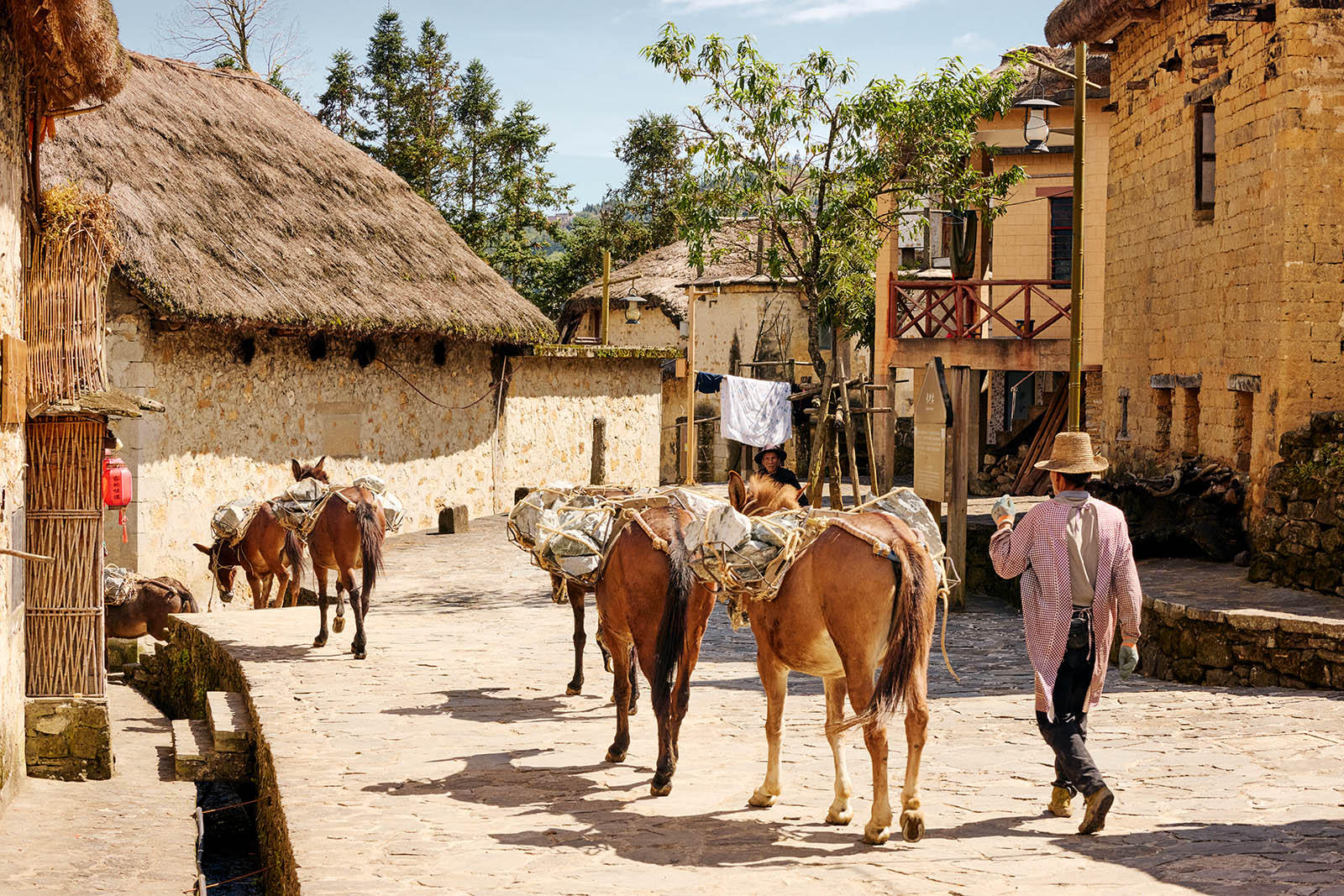 Horses walking through a village
