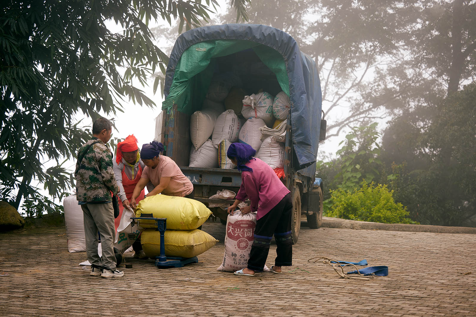 Three women are weighing rice with a man looking at them