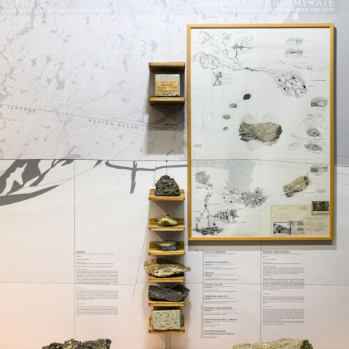 A framed drawing against a wall sized mural of a geologic section of massachusetts. With a shelf in front with rocks on top.