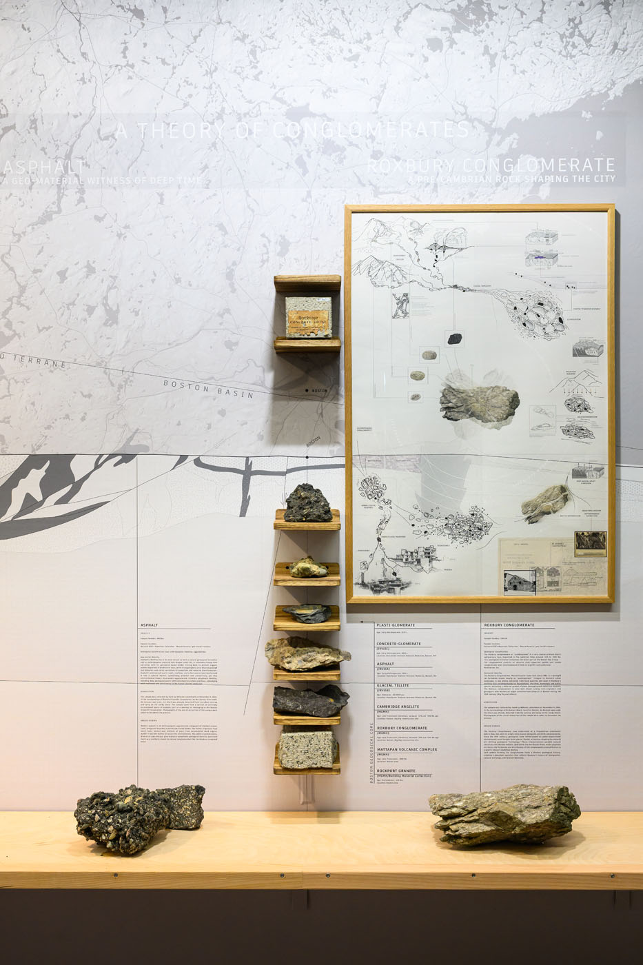 A framed drawing against a wall sized mural of a geologic section of massachusetts. With a shelf in front with rocks on top.