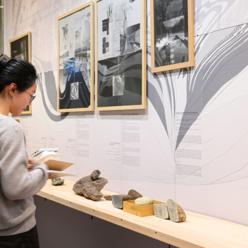 A person looking at framed drawings against a wall sized mural of a geologic section of massachusetts. With a shelf in front with rock on top.