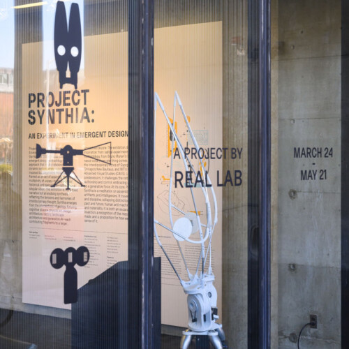 view of rabbit eared model and instroduction through tall windows