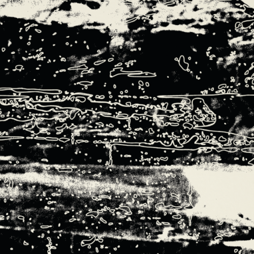 Arctic Practices cover