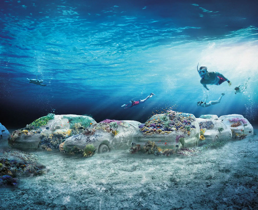 people snorkeling