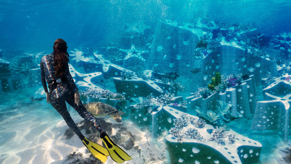 woman snorkeling with turtle near underwater sculpture