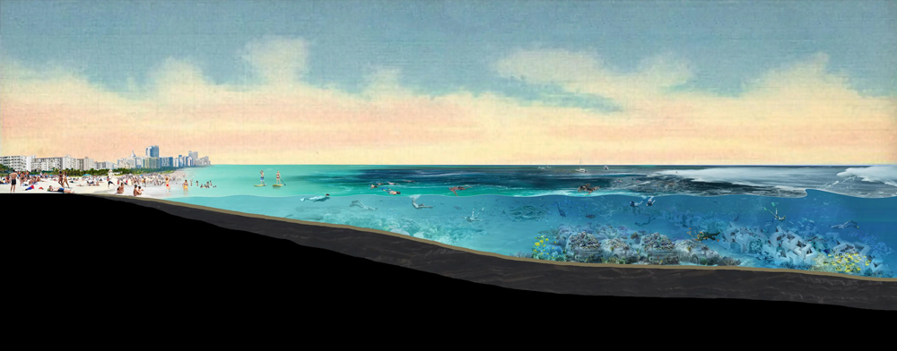 section of beach and ocean