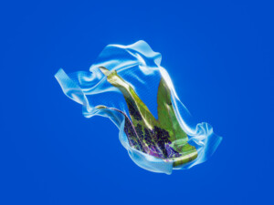 abstracted leaf
