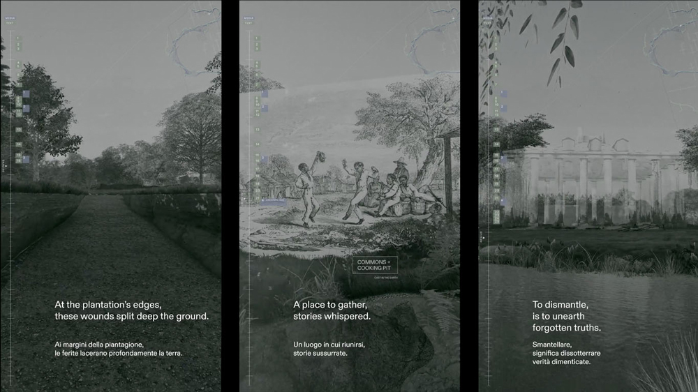 three plantation related images