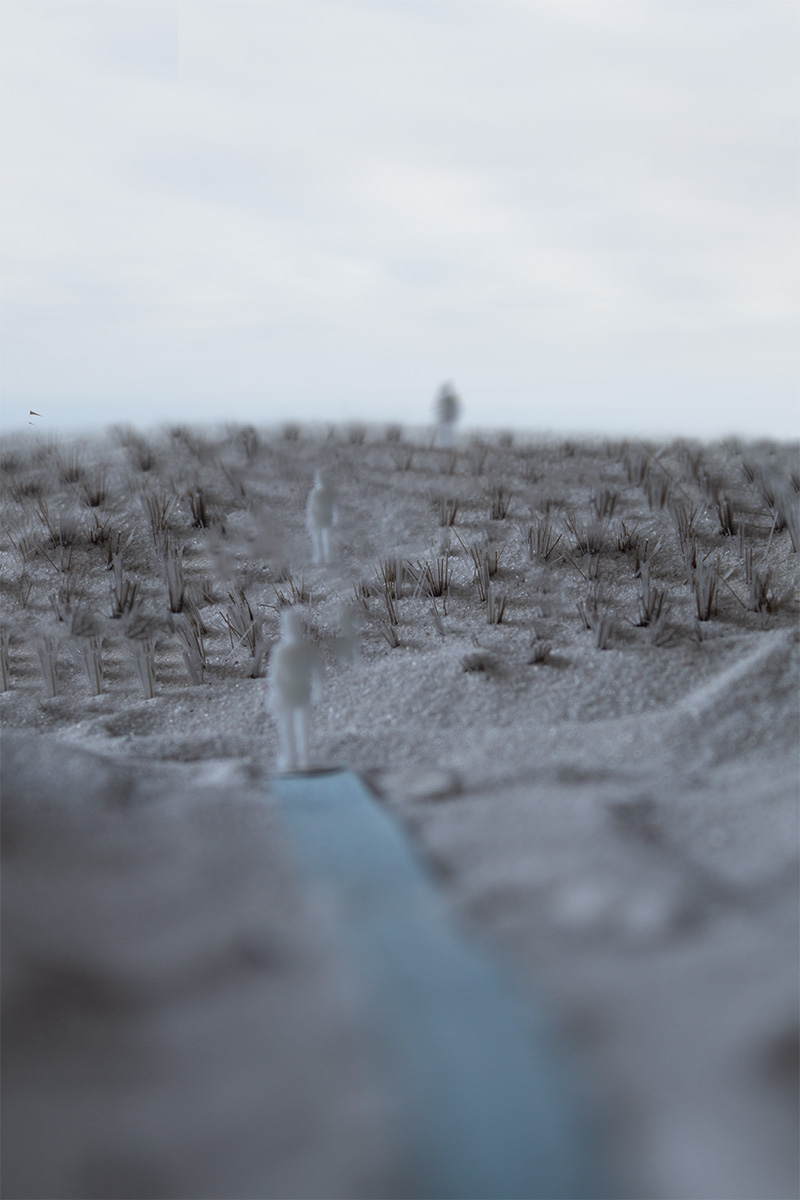 thesis image