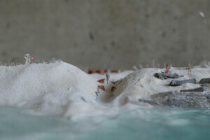 model of beach and dune