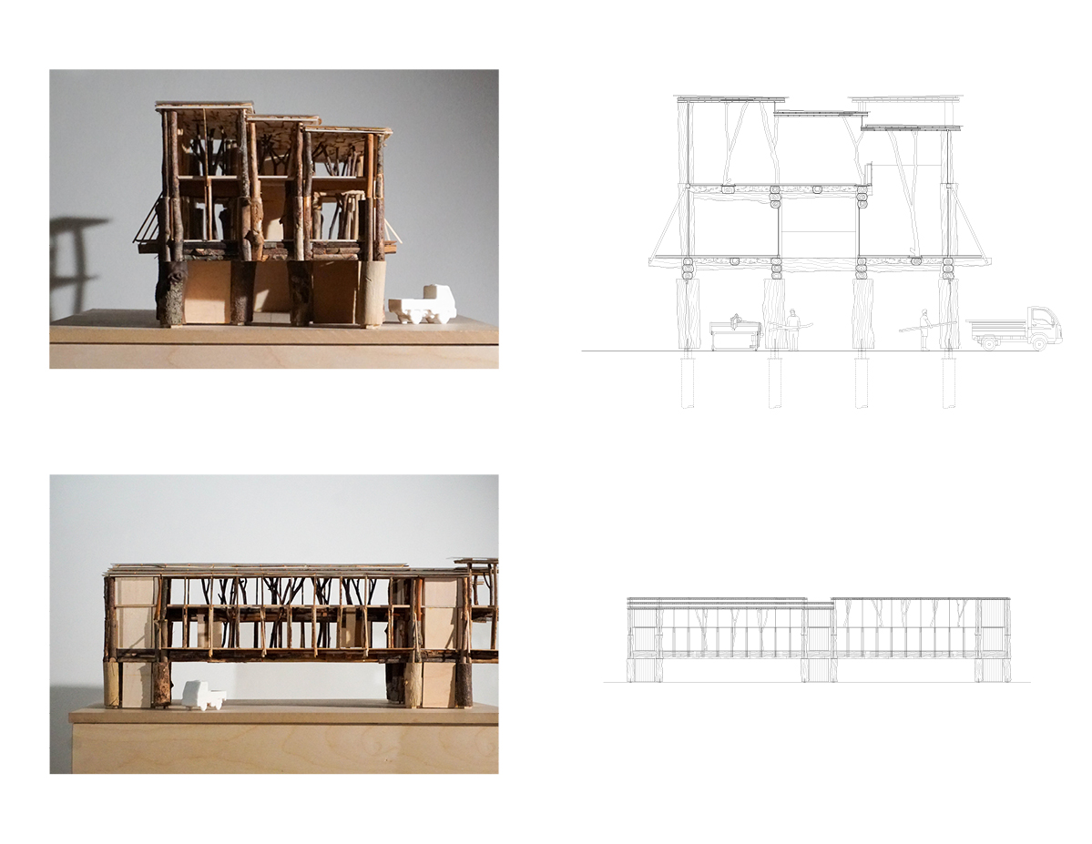 Thesis image