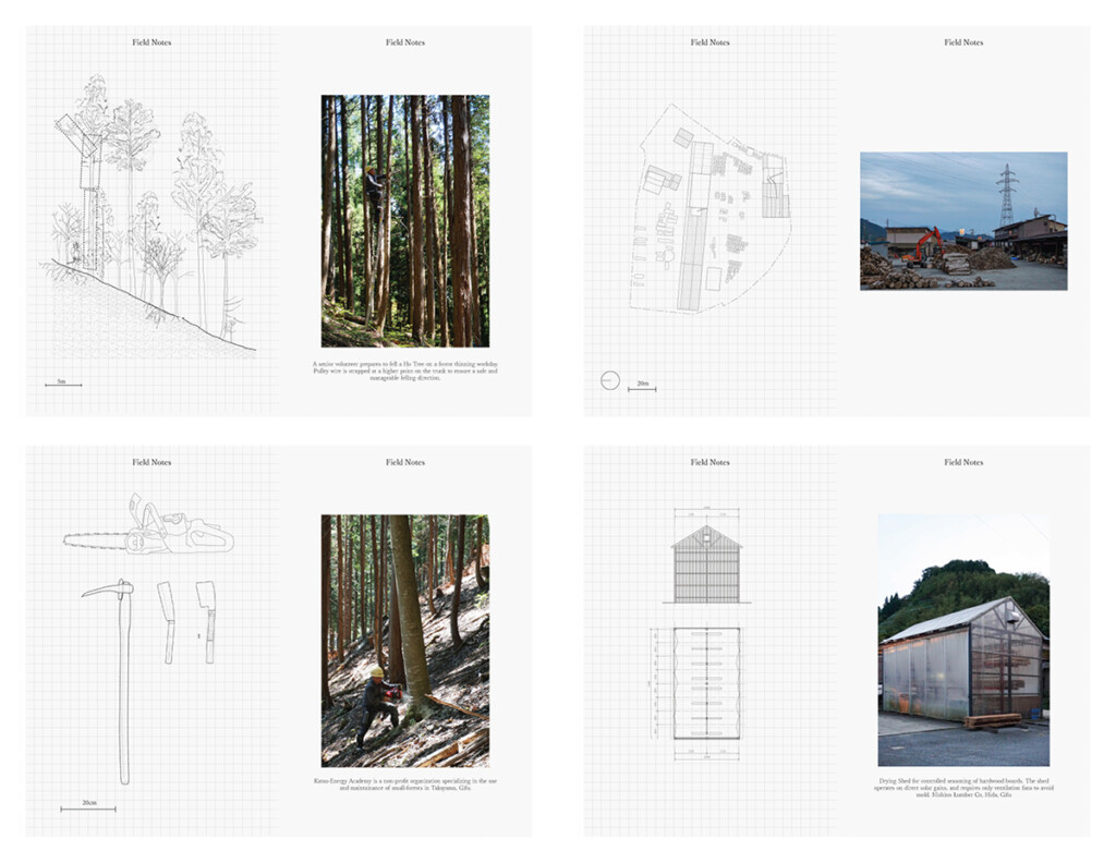 Form Follows Forest - Harvard Graduate School of Design