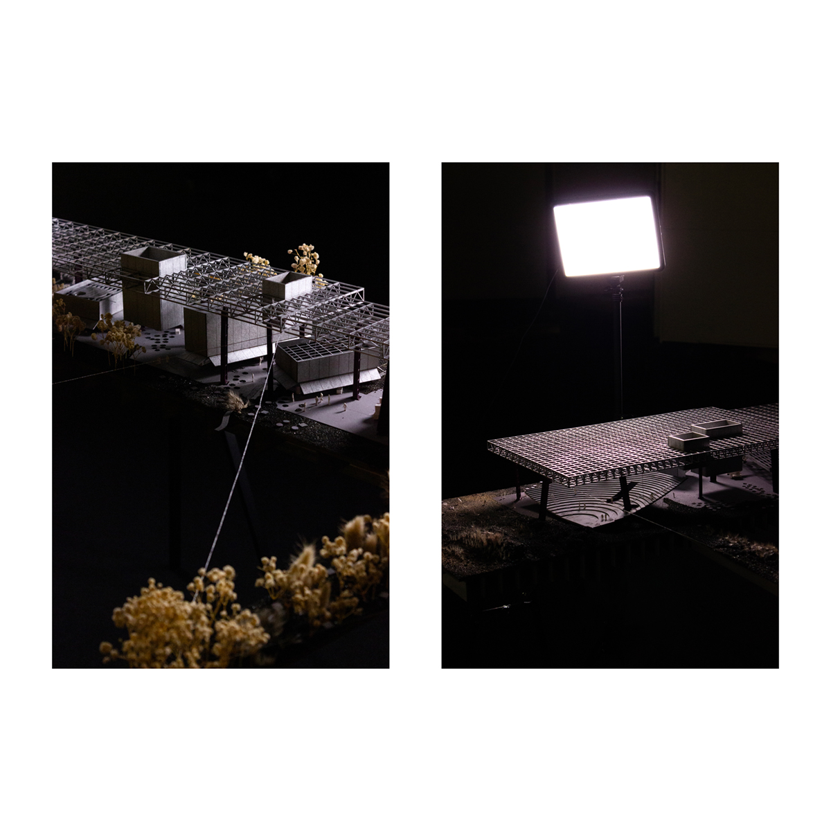 Thesis image