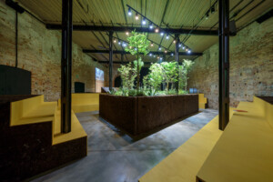 plants in a room with yellow accents