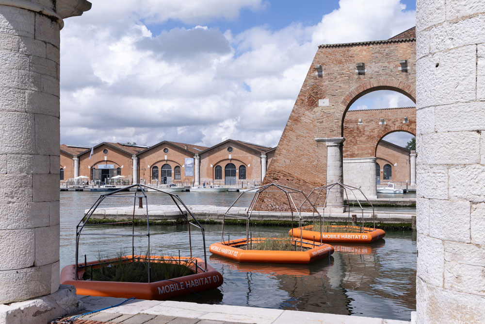 organe rafts near brick buildings and water