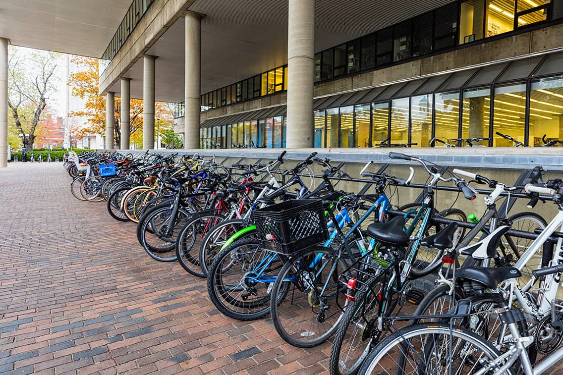 Bike rack outside of Gund Hall.