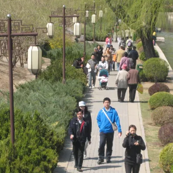 Groups walking down an outdoor sidewalk under trees and streetlights.