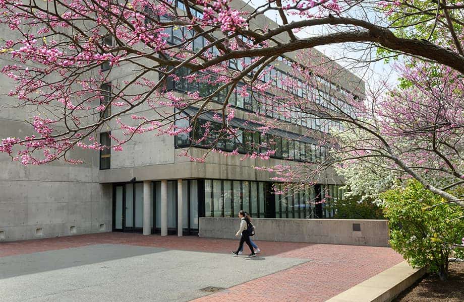 Exterior of Gund Hall in the spring with blooming trees in the foreground.