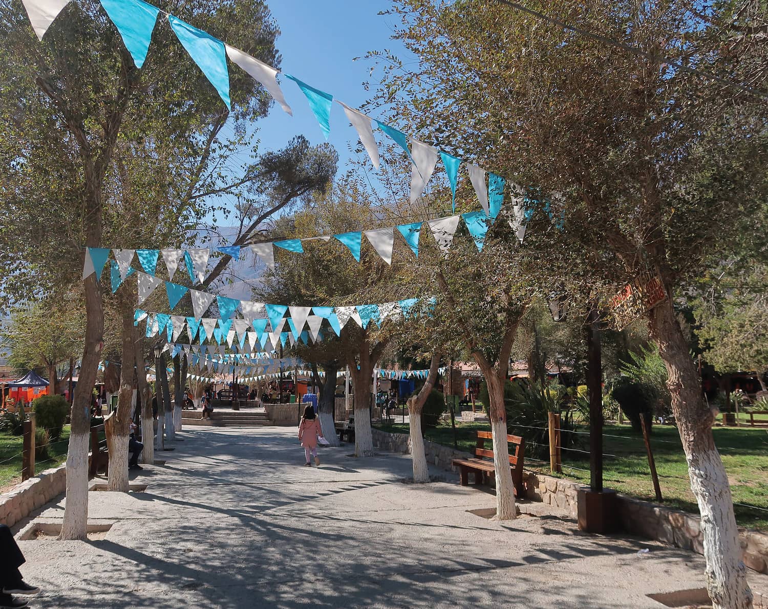 25 de Mayo decorations and celebration in town center, Northwest Argentina. Photo courtesy of Rocio Alonso and Elaine Zmuda, from "Pairing the Paisajes" (2023).
