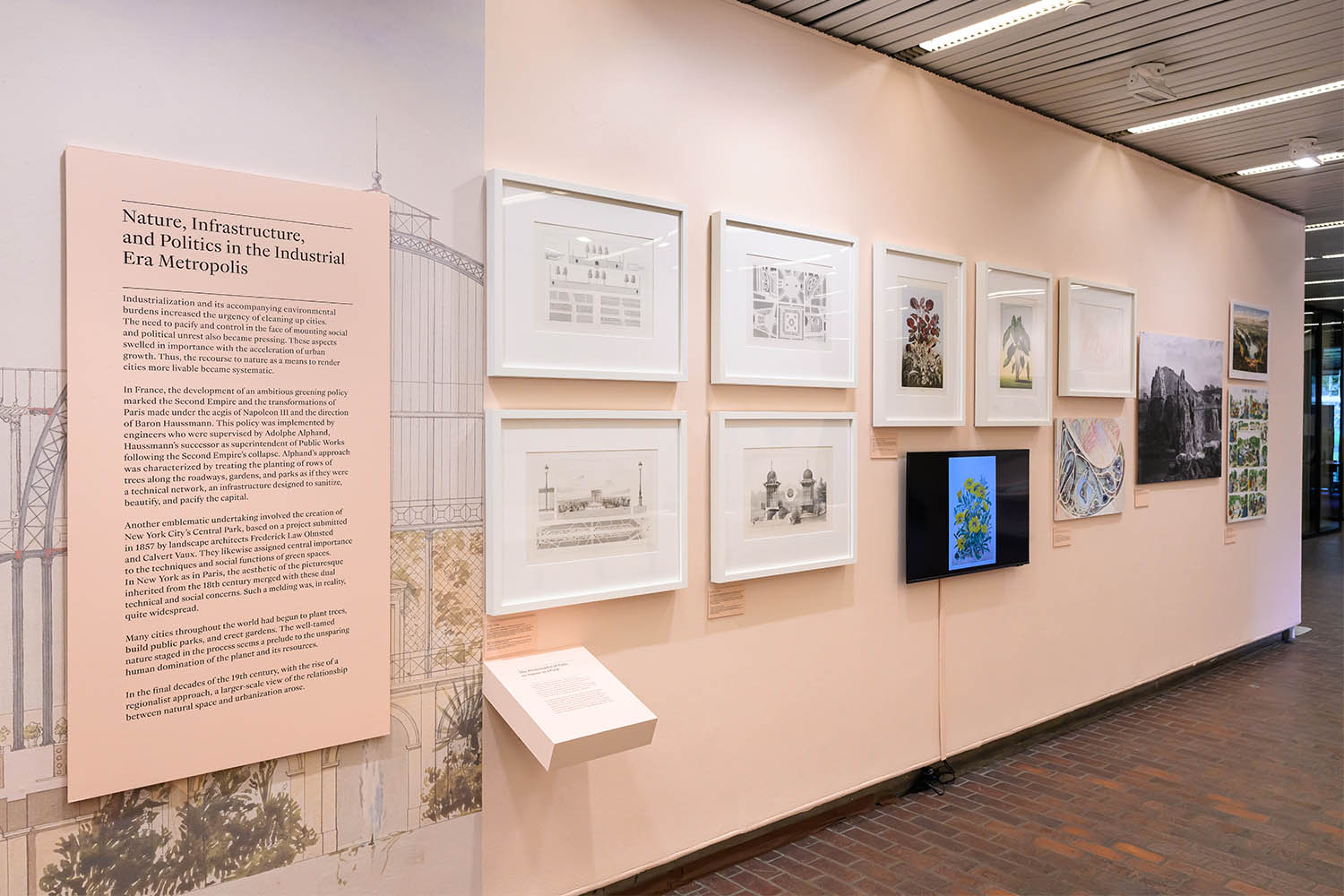 An array of framed prints and a monitor.