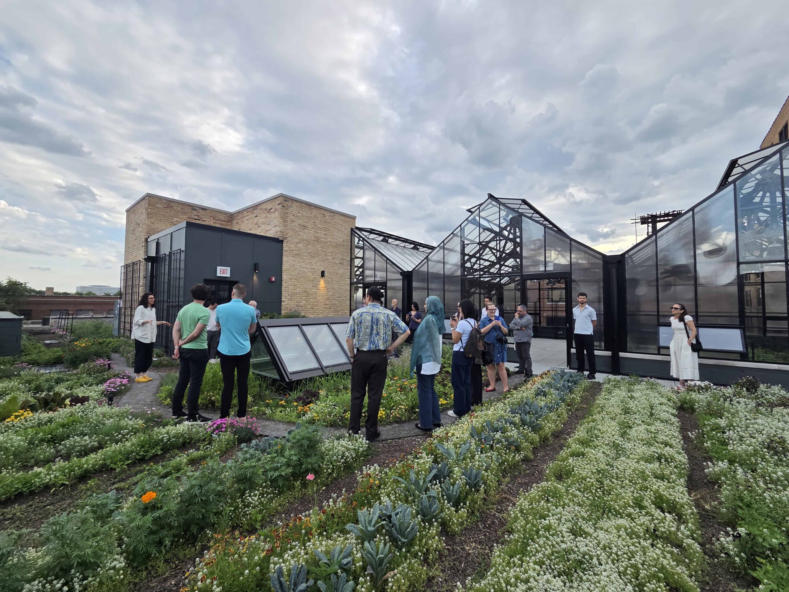 GSD alumni in Chicago tour a rooftop garden