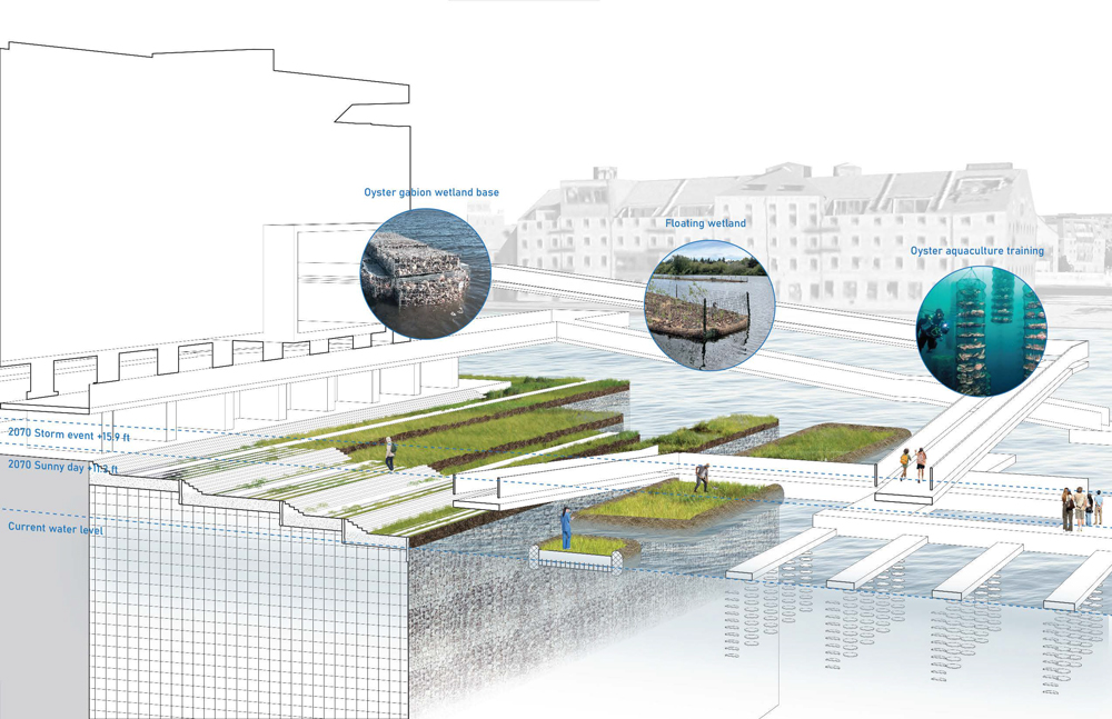Perspective of building showing terraced wetlands and floating wetlands on Boston Harbor.