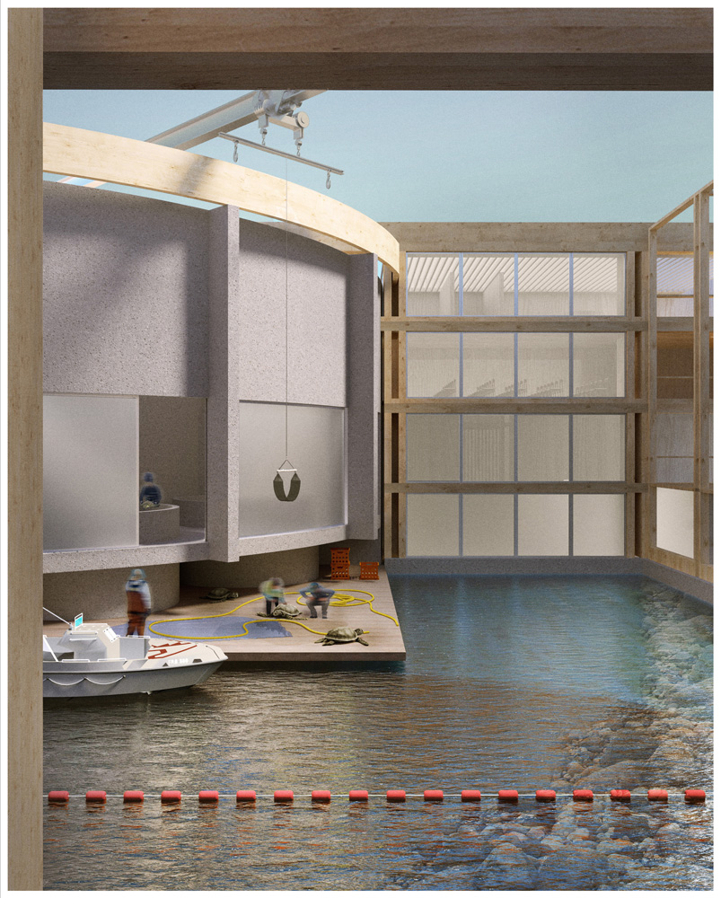 Concrete and wood building with boat tied up to dock and turtle on the dock.