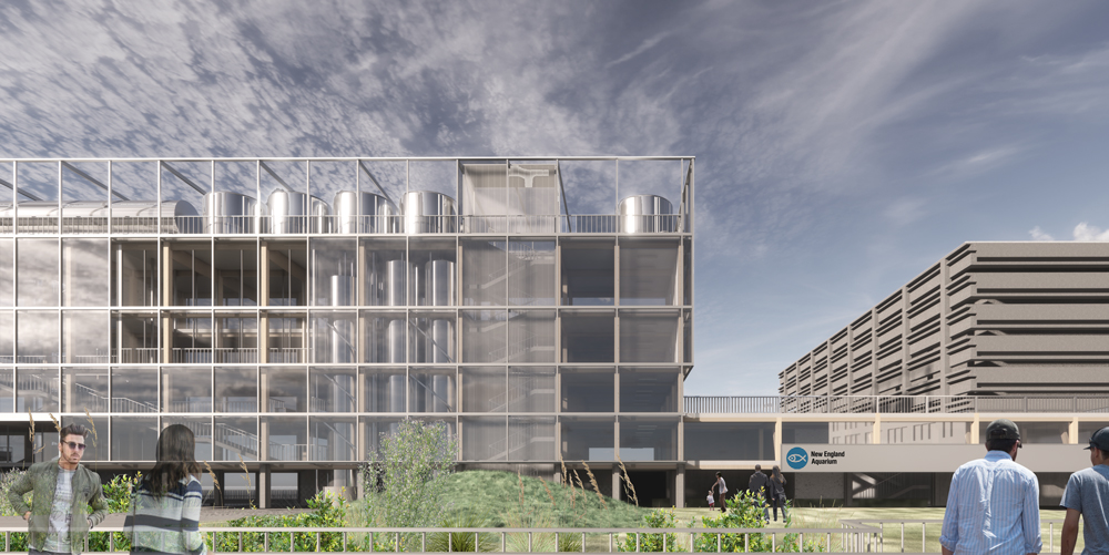 Industrial looking building ristngbehind landscaped plaza.