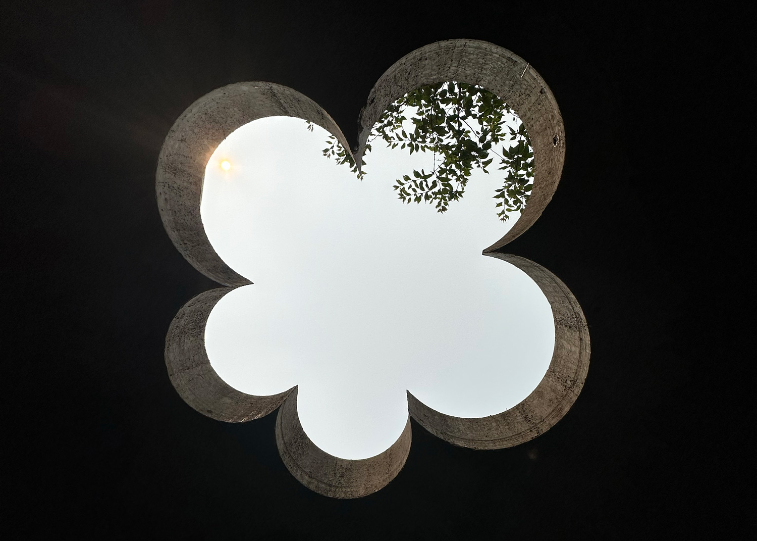 A view of the sky through a flower-shaped skylight.