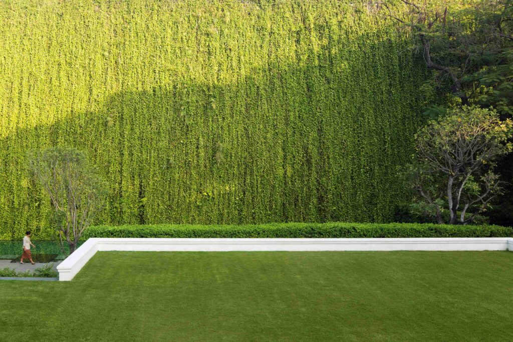 15-meter lush, living green wall