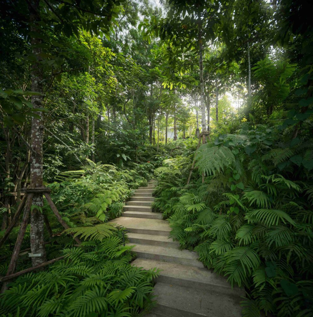 Steps weaving through a lush green environment