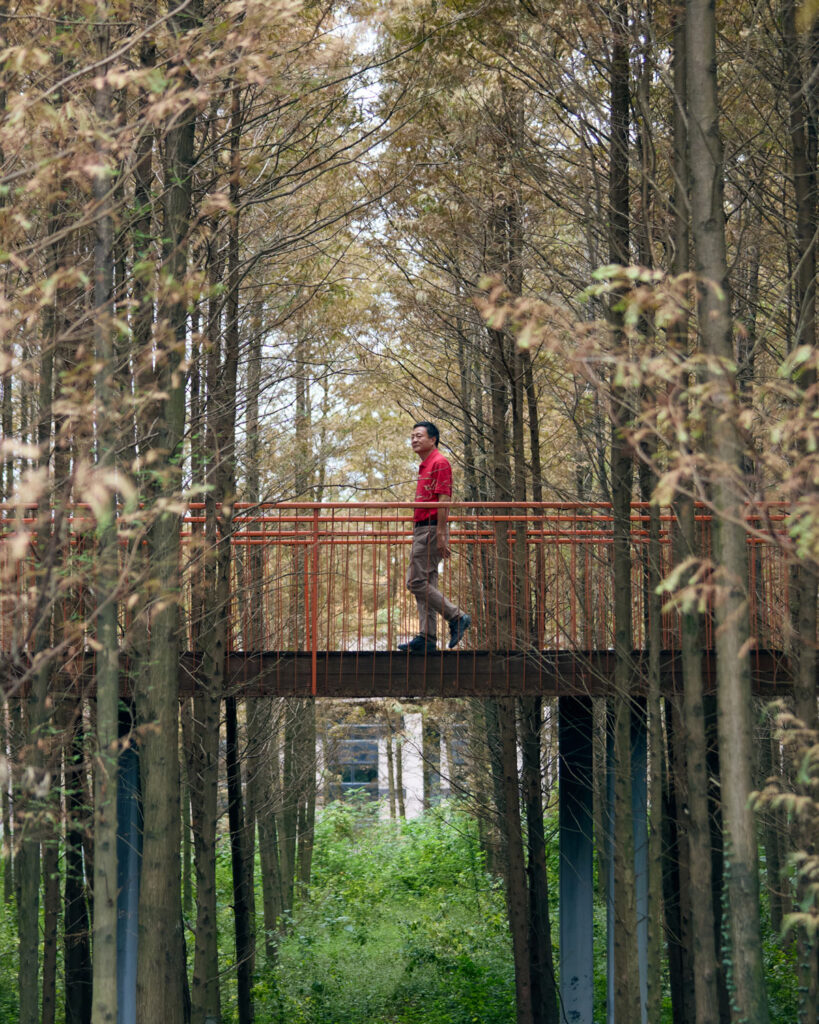 Kongjian Yu walking across a bridge in a forest.