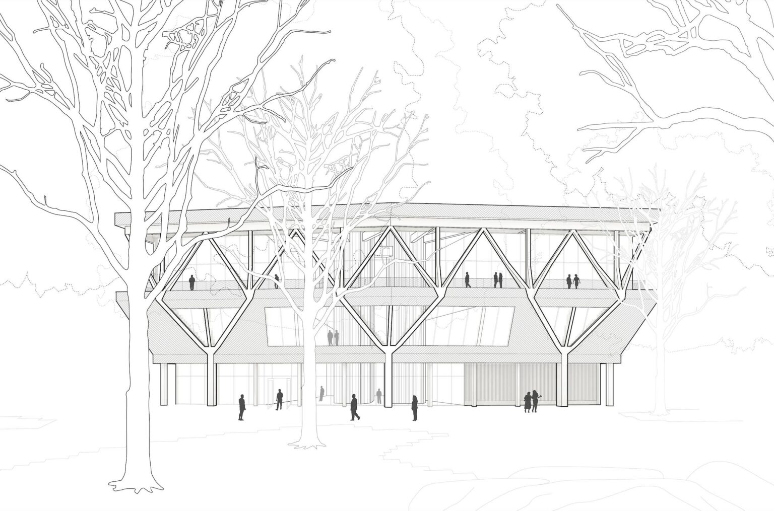 Drawing For Rth Jeanne Gang on the David Rubenstein Treehouse at Harvard
