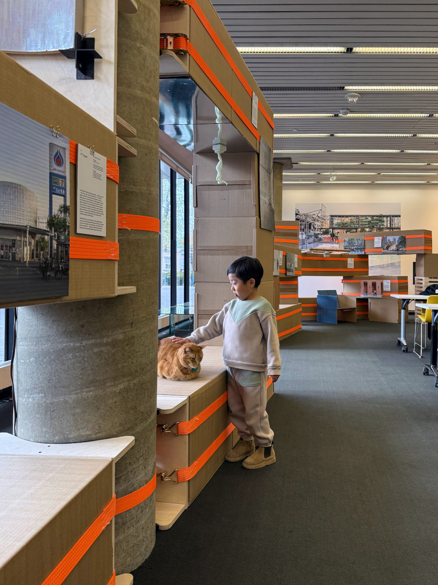 A child petting a cat on top of a temporary structure built from cardboard boxes and ratchet straps in Frances Loeb Library.