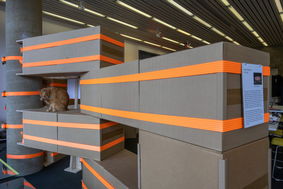 A cat sits on a section of a temporary structure built from cardboard boxes and ratchet straps in Frances Loeb Library.