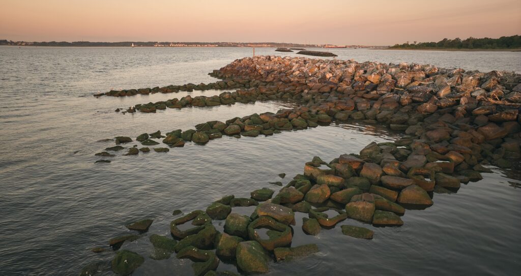 <span class="event-title-name">Kate Orff</span> “Throughlines”