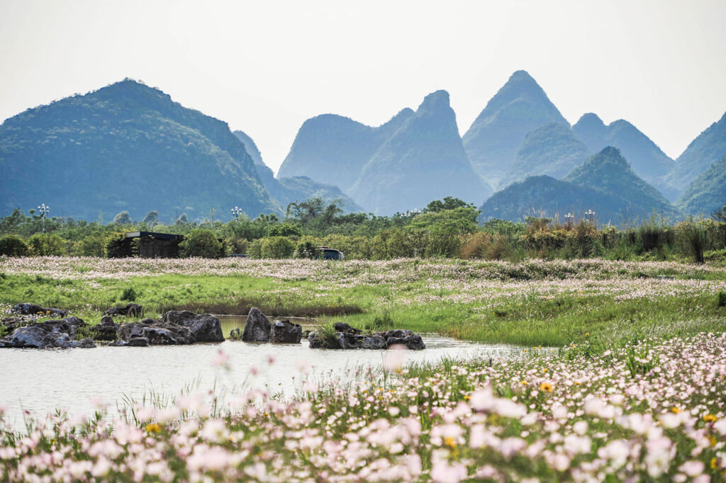 Remediated wetlands with mountains and sky beyond.