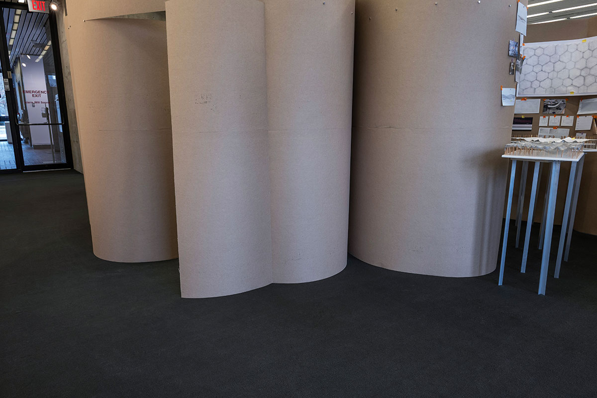 A curved and shaped temporary wall made of chipboard standing in Frances Loeb Library.