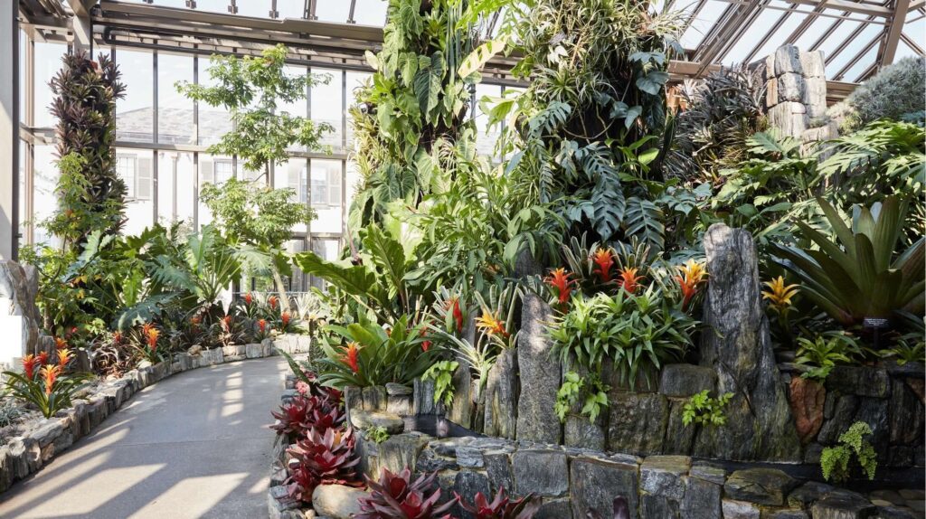 a glasshouse with tropical flowers and plants