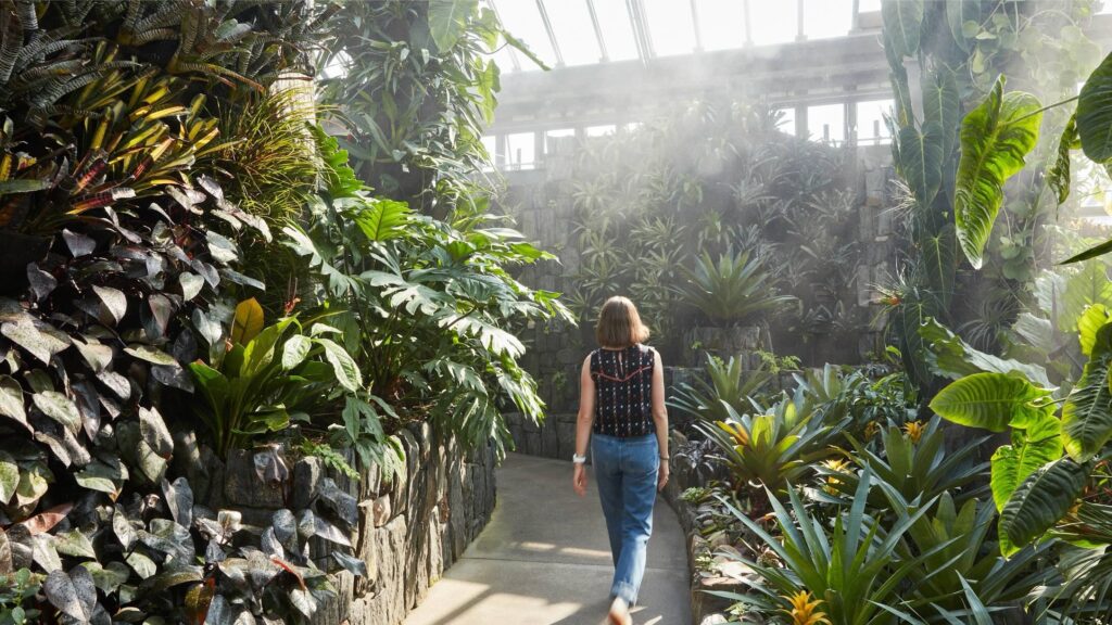 a person walks in a tropical glasshouse garden
