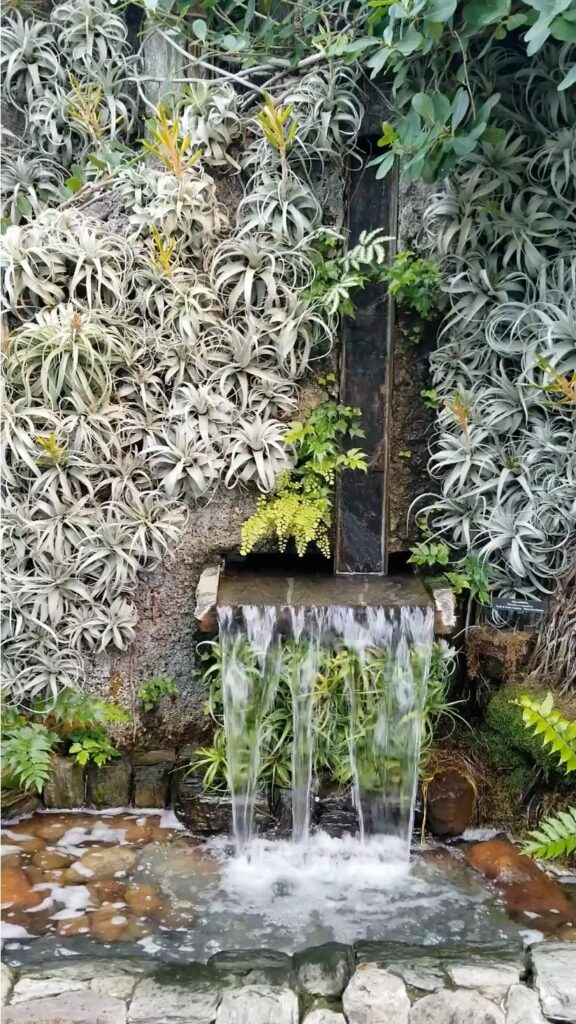 Waterfall inside Cascade Garden glasshouse