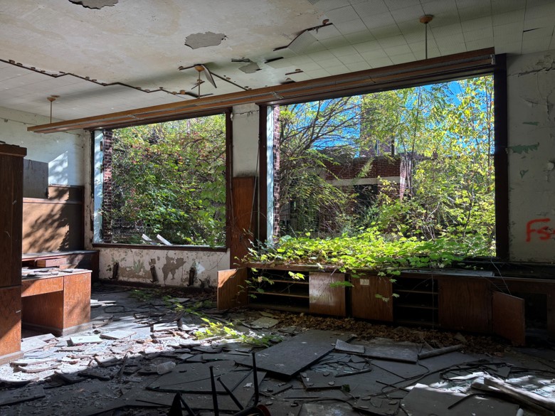 plants overtake a school building