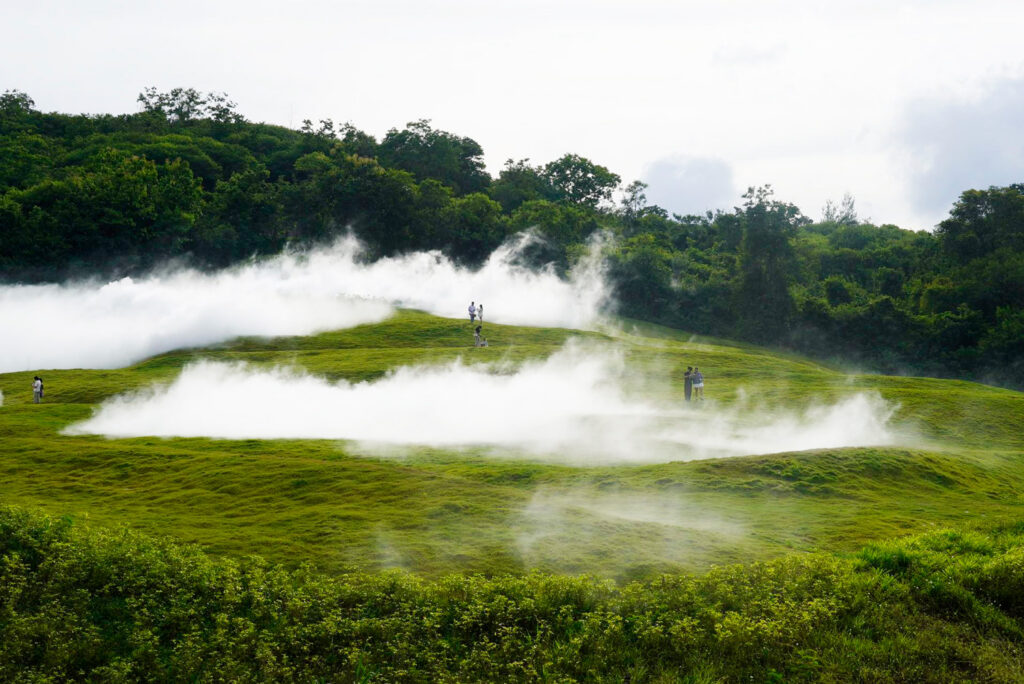 A hillside in a tropical forest is shrouded by mist.