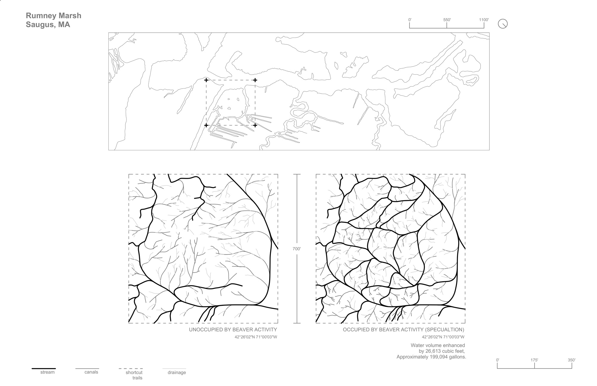 Diagrams showing an area of beaver research at Rumney Marsh, Saugus, MA. One diagram shows the area unoccupied by beaver activity. A second diagram shows the area occupied by beaver activity (speculation)