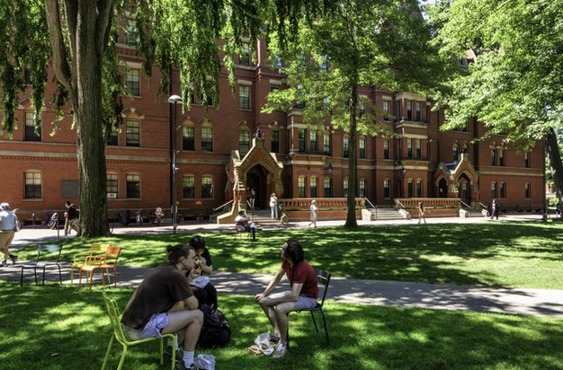 Students sitting in Harvard Yard on a sunny day.