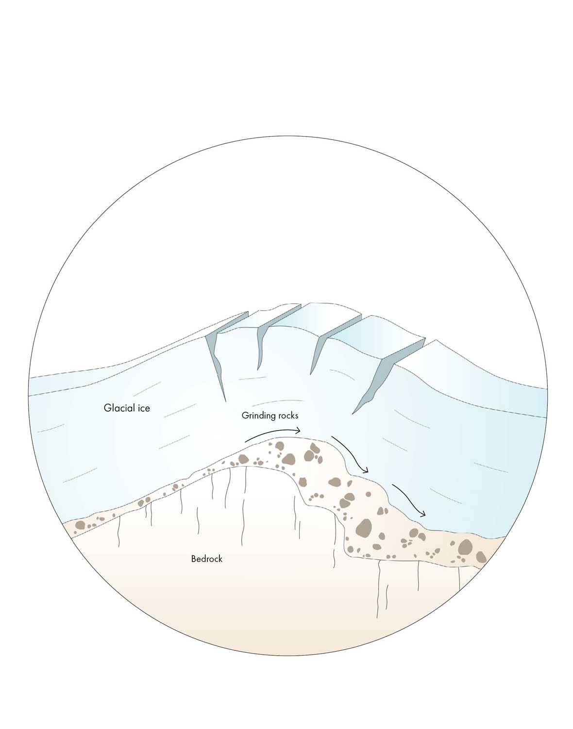 Illustration showing glacial ice grinding across bedroom to form glacial flour.